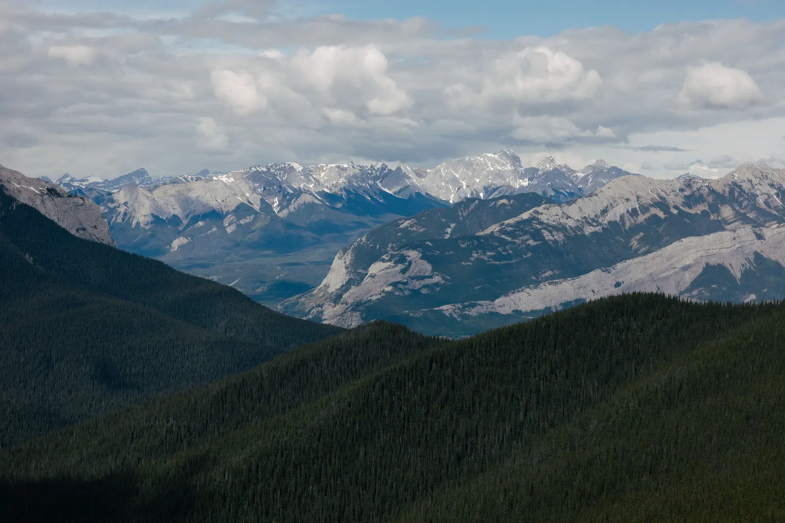 Above the treeline