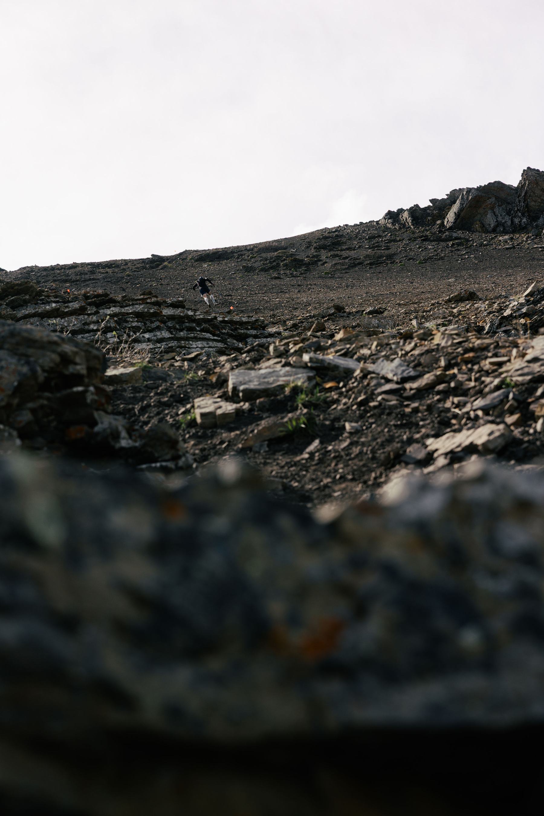 Above the treeline towards AS 4